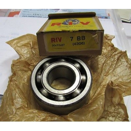 RIV EVP45轴承